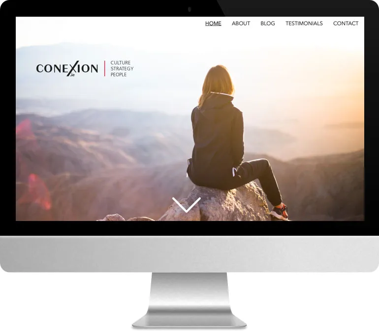 Conexion website project
